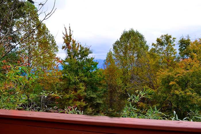 Lover'S Loft Gatlinburg Extérieur photo